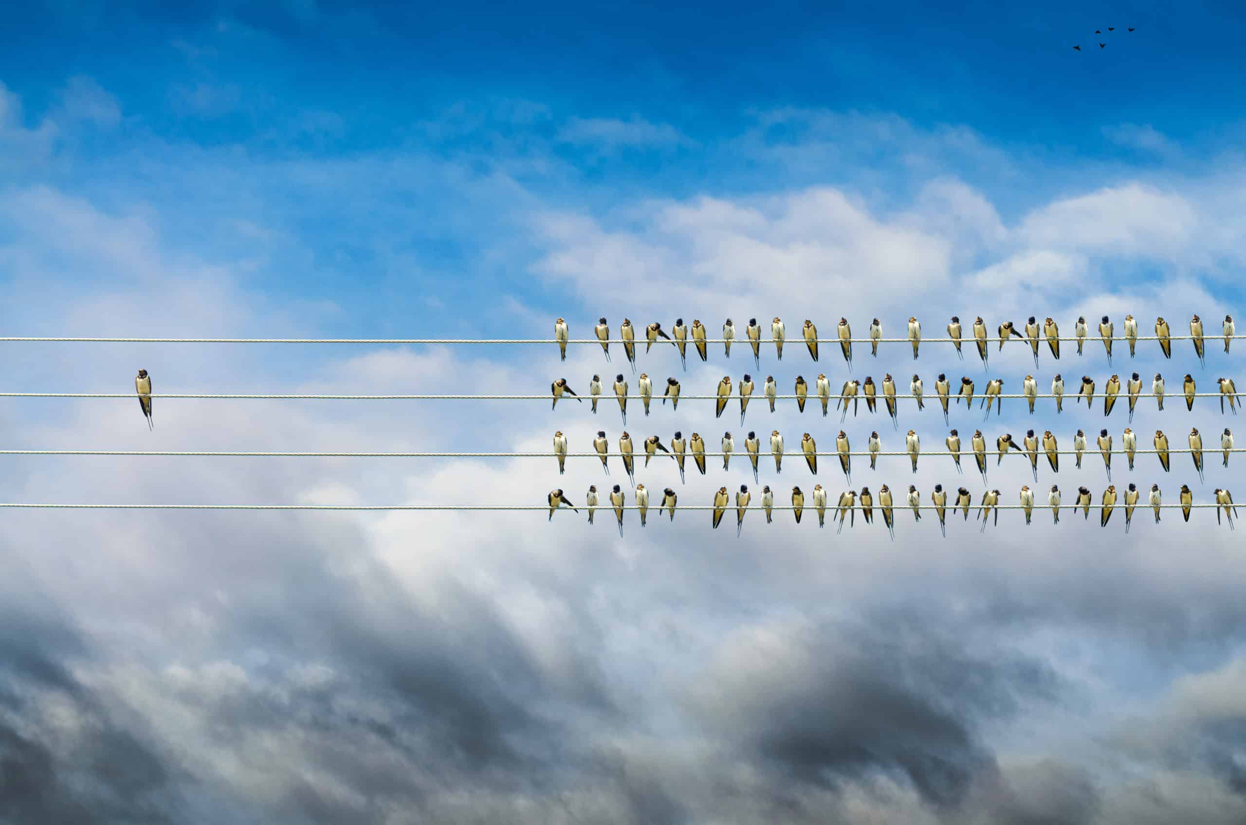 Azionariato critico gli azionisti rompiscatole che migliorano l'etica delle aziende