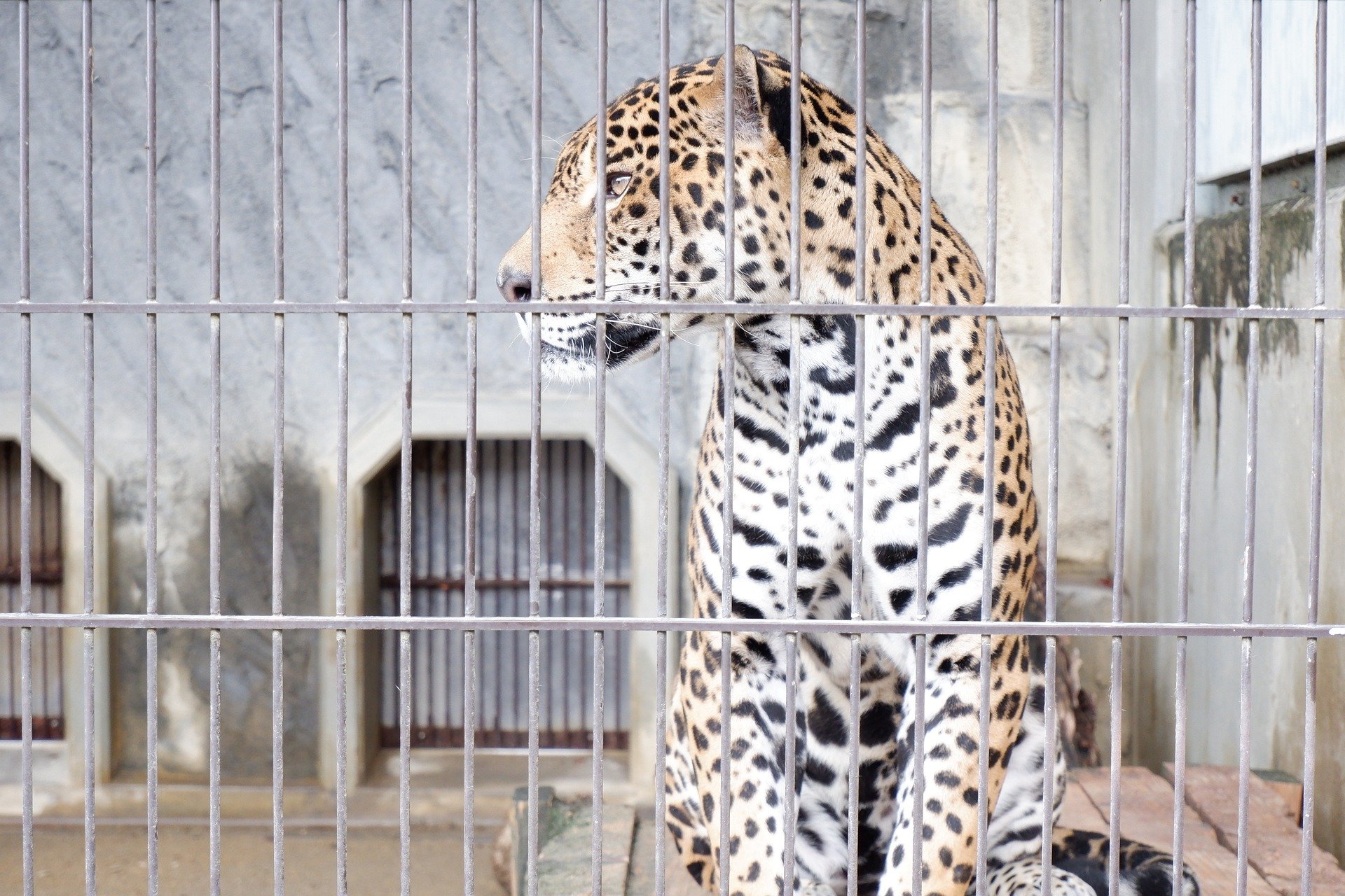 la stagione assembleare 2021