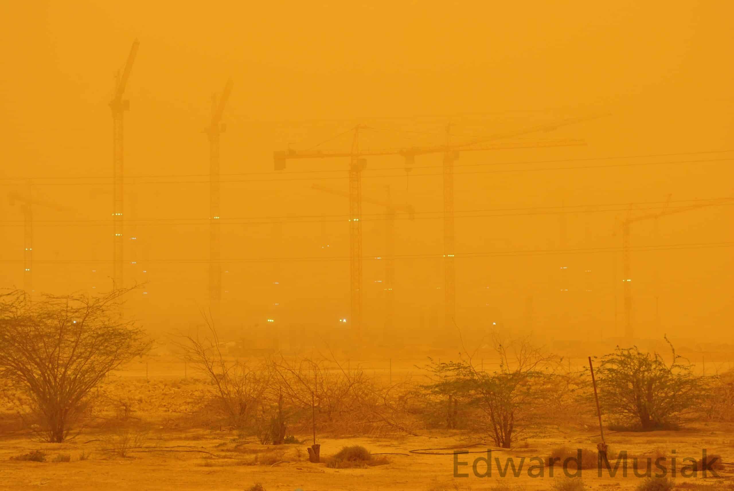 embargo arabia saudita